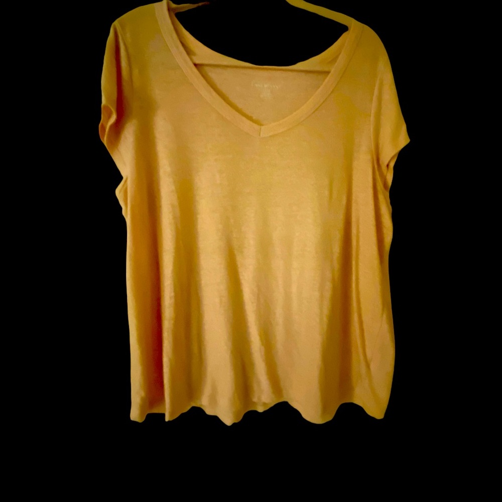 Lane Bryant size 14/16 Pink V-Neck w/ slight shimmer.